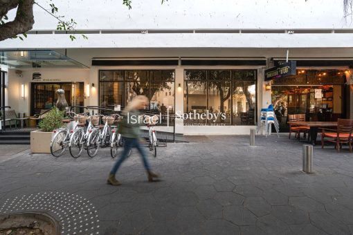 dizengoff - 1800X1200 WEB LOGO (2)