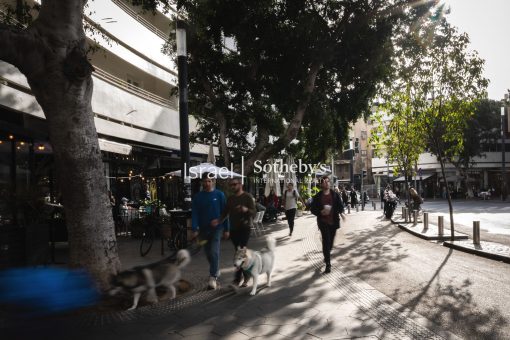 dizengoff - 1800X1200 WEB LOGO (3)