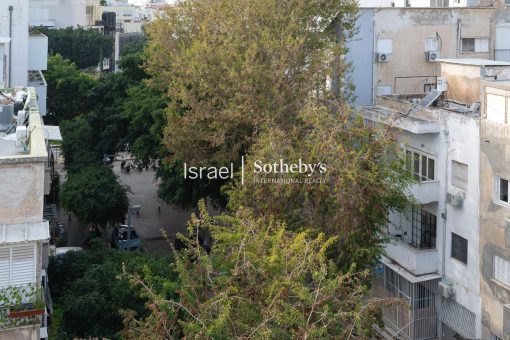 dizengoff - 1800X1200 WEB LOGO (5)